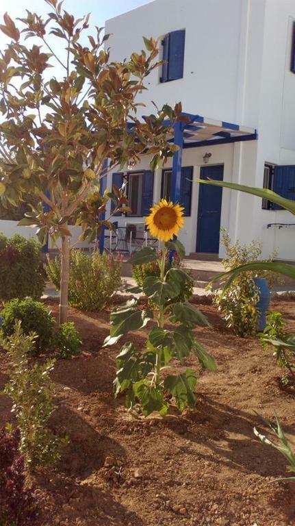 Ninemia Studios Serifos Island Exterior photo